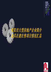 贵阳市大型房地产企业简介及其在建在售项目情况说明