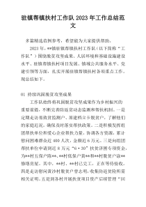 驻镇帮镇扶村工作队2023年工作总结范文