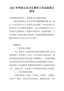 2023年突发公共卫生事件工作总结范文报告