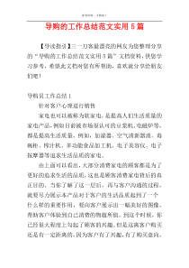 导购的工作总结范文实用5篇