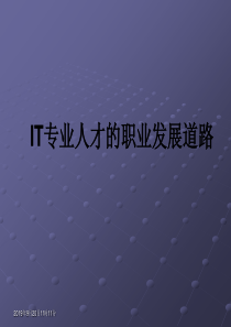 职业规划培训：IT专业人才的职业发展道路