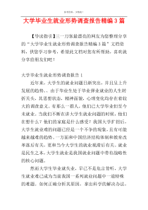 大学毕业生就业形势调查报告精编3篇