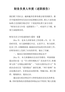 财务负责人年度（述职报告）