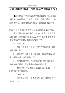 公司出纳试用期工作总结范文【推荐5篇】