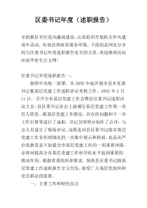 区委书记年度（述职报告）