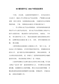 XX镇党委书记2022年度述法报告