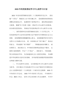 2023年局党组理论学习中心组学习计划