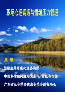 职场心理调适及情绪压力管理