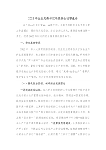 2022年企业党委书记年度安全述职报告