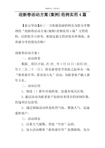 迎新春活动方案(案例)范例实用4篇