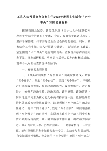 某县人大常委会办公室主任2023年度民主生活会六个带头对照检查材料