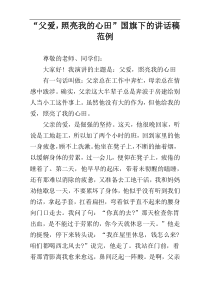“父爱，照亮我的心田”国旗下的讲话稿范例
