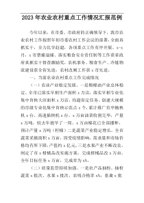 2023年农业农村重点工作情况汇报范例