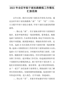 2023年全区年轻干部实践锻炼工作情况汇报范例