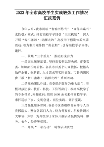 2023年全市高校学生实践锻炼工作情况汇报范例