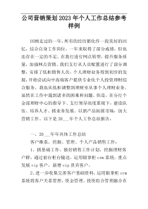 公司营销策划2023年个人工作总结参考样例