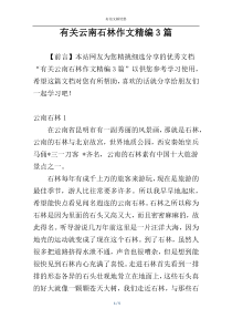 有关云南石林作文精编3篇