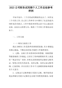 2023公司财务试用期个人工作总结参考样例