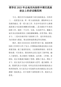 领导在2023年企地双向挂职中期交流座谈会上的讲话稿范例