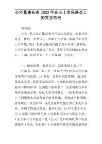 公司董事长在2023年企业上市座谈会上的发言范例