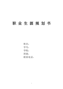 计算机师范职业规划书