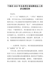 干部在2023年全县项目谋划推进会上的讲话稿范例