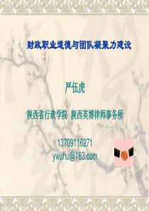 财政职业道德与团队凝聚力建设