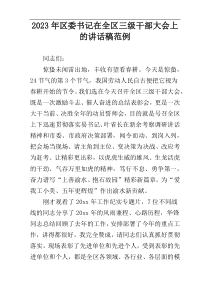 2023年区委书记在全区三级干部大会上的讲话稿范例