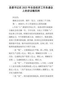 县委书记在2023年全县经济工作务虚会上的讲话稿范例
