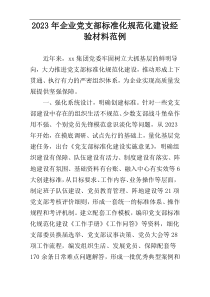 2023年企业党支部标准化规范化建设经验材料范例