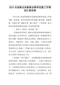 2023全县新业态新就业群体党建工作情况汇报范例