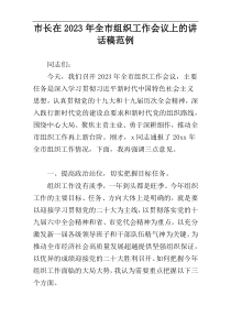 市长在2023年全市组织工作会议上的讲话稿范例