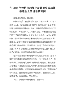 在2023年涉粮问题集中反馈暨整改部署推进会上的讲话稿范例