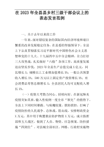 在2023年全县县乡村三级干部会议上的表态发言范例