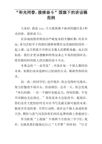 “和光同春，接续奋斗”国旗下的讲话稿范例