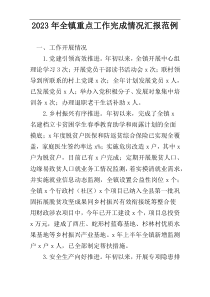 2023年全镇重点工作完成情况汇报范例