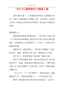 [300字]躲猫猫作文精编2篇