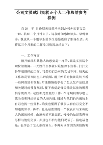 公司文员试用期转正个人工作总结参考样例