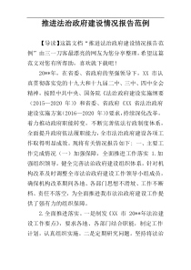 推进法治政府建设情况报告范例