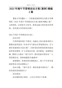 2023年端午节营销活动方案(案例)精编2篇
