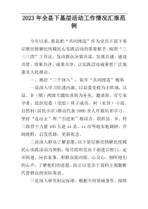 2023年全县下基层活动工作情况汇报范例