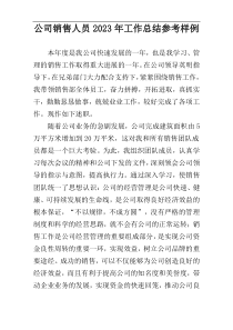 公司销售人员2023年工作总结参考样例