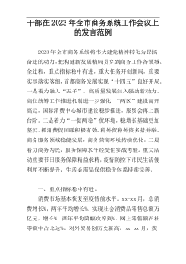 干部在2023年全市商务系统工作会议上的发言范例