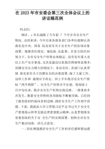 在2023年市安委会第三次全体会议上的讲话稿范例