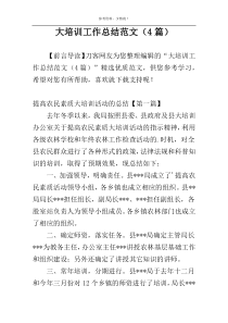 大培训工作总结范文（4篇）