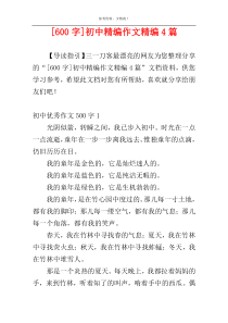 [600字]初中精编作文精编4篇