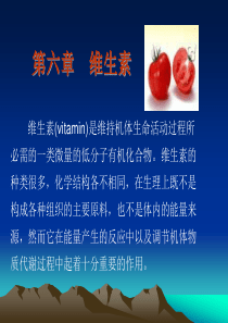 巢湖职院临床营养学课件06维生素