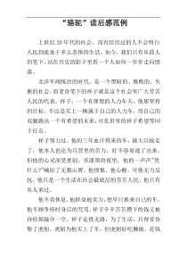 “骆驼”读后感范例