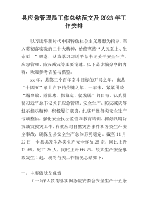 县应急管理局工作总结范文及2023年工作安排