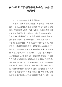 在2023年区委领导干部务虚会上的讲话稿范例